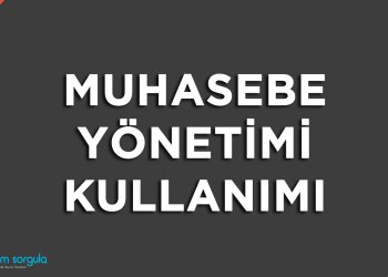 Muhasebe Yönetimi Kullanımı
