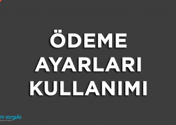 Ödeme Ayarları Kullanımı