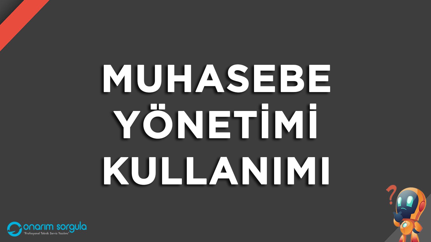 Muhasebe Yönetimi Kullanımı